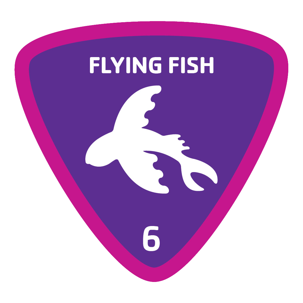 aquatics-badge-6-flying-fish