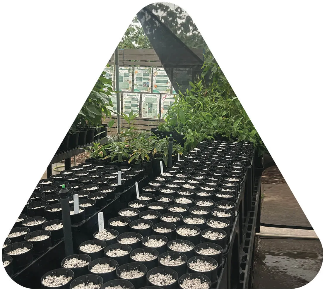 Restoring the Land, Growing Future Stewards