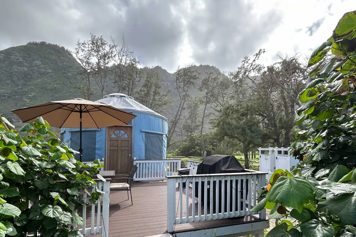 camp erdman yurt rentals